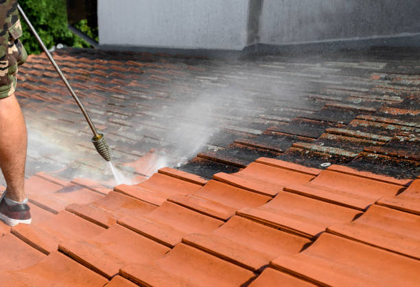Professional Pressure Washing in Seeley Lake, MT